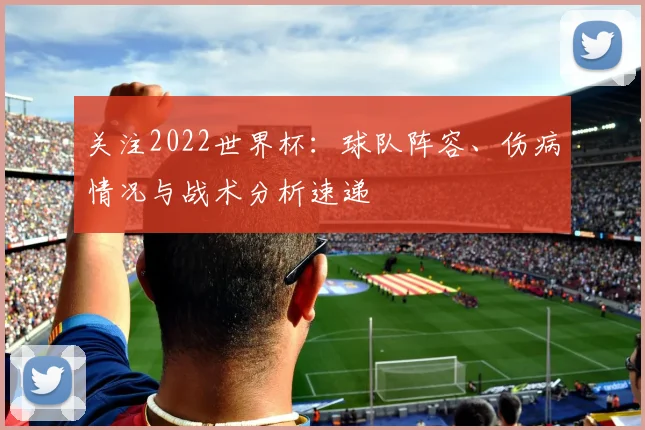 关注2022世界杯：球队阵容、伤病情况与战术分析速递