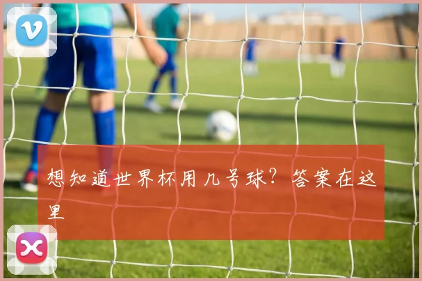 想知道世界杯用几号球？答案在这里
