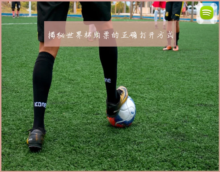 揭秘世界杯购票的正确打开方式