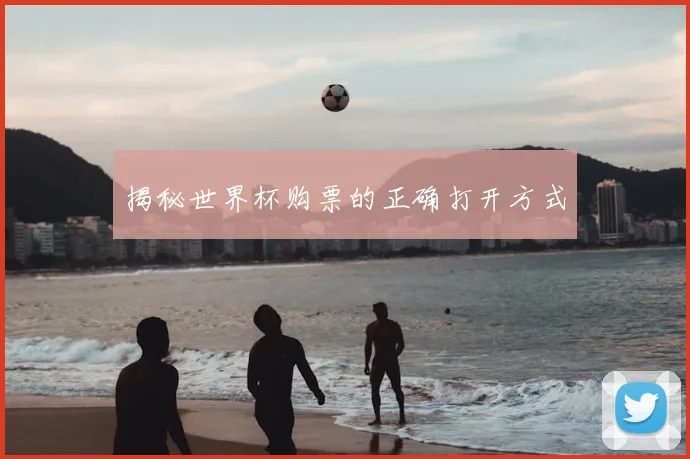揭秘世界杯购票的正确打开方式