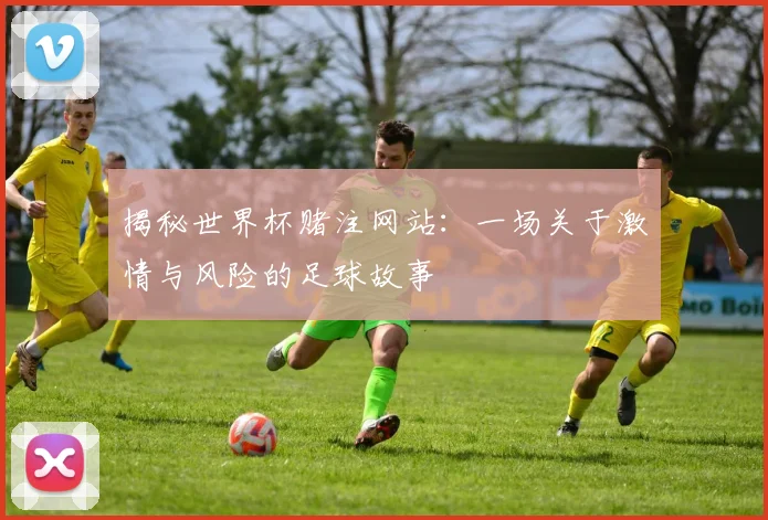 揭秘世界杯赌注网站：一场关于激情与风险的足球故事