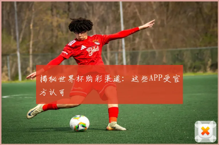 揭秘世界杯购彩渠道：这些APP受官方认可