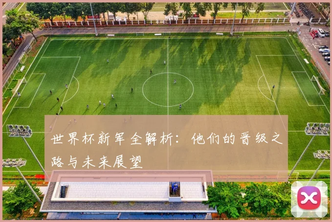 世界杯新军全解析：他们的晋级之路与未来展望