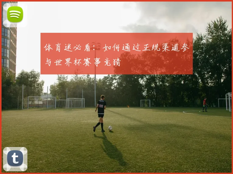 体育迷必看：如何通过正规渠道参与世界杯赛事竞猜